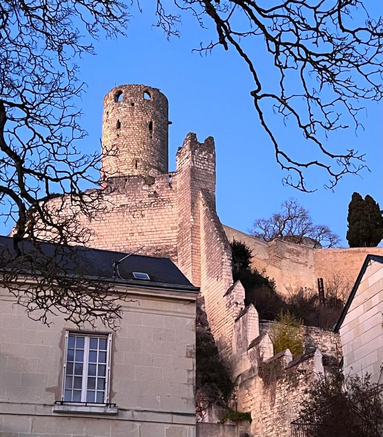 Le Rabelais, Superbe Appartement En Duplex, Proche Forteresse Et Monument Historique Chinon Kültér fotó